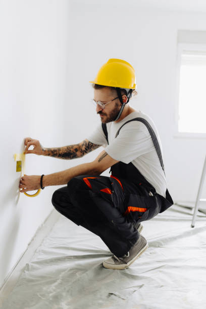 Best Drywall Sanding and Smoothing  in Brookfield, IL